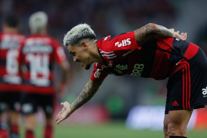 Pedro-Flamengo