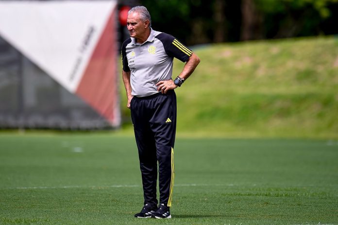 'Minha relação com a Seleção Brasileira é fazer o Flamengo arrebentar', diz Titea